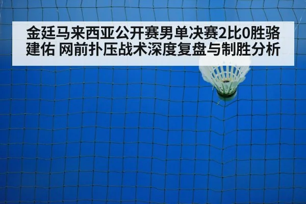badminton net play